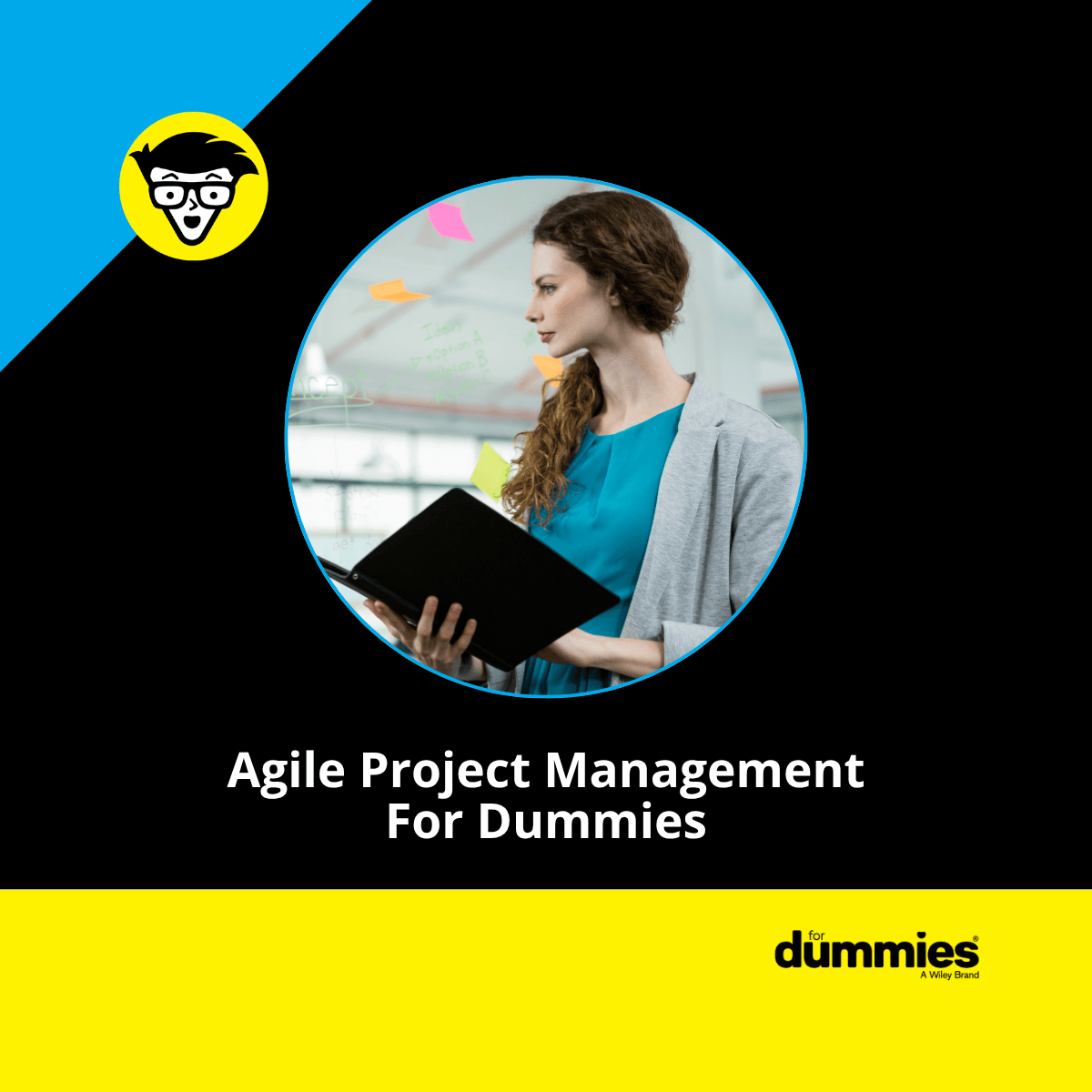 Agile Project Management For Dummies