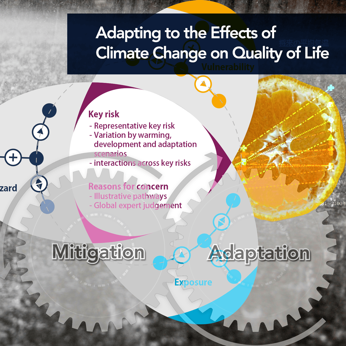 Adapting to the Effects of Climate Change on Quality of Life