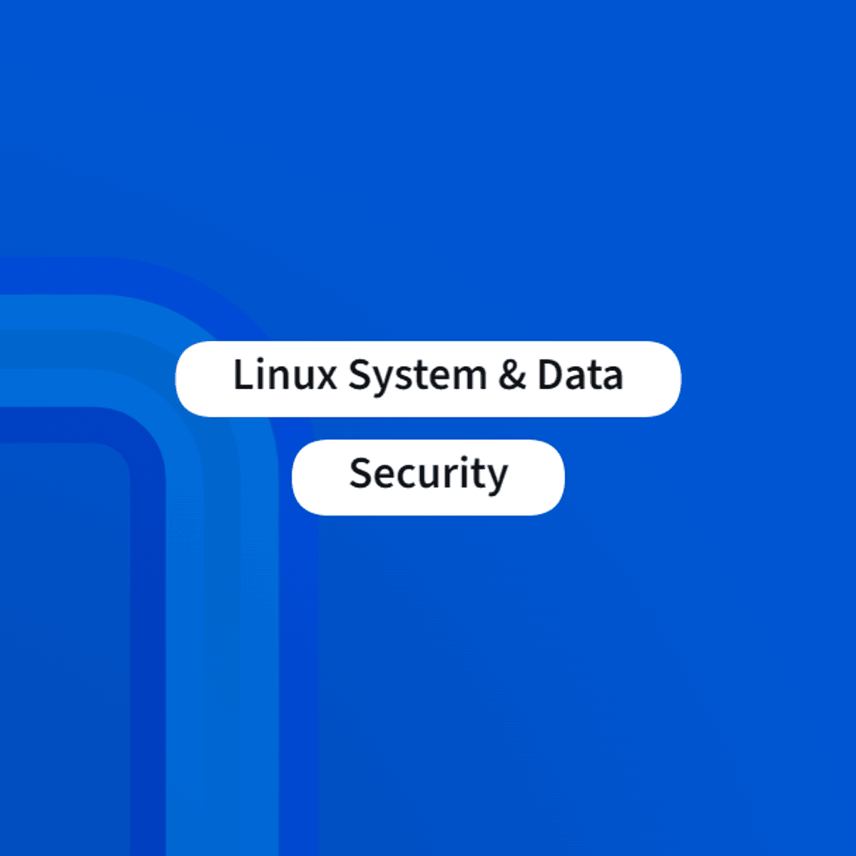 Linux System & Data Security
