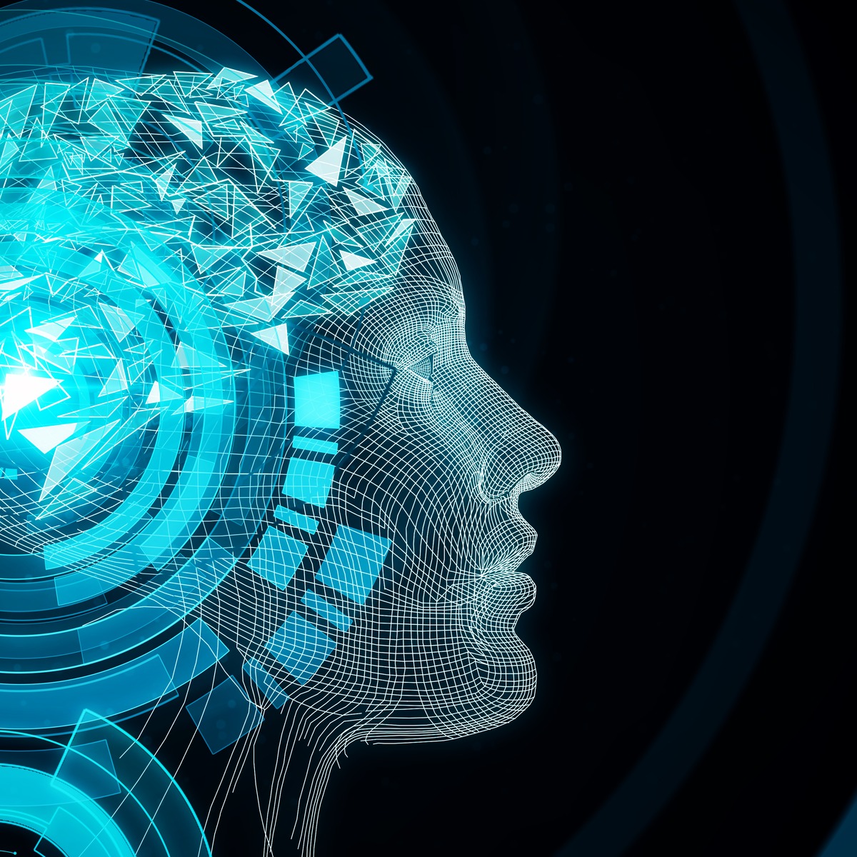 Decision Making and Reinforcement Learning