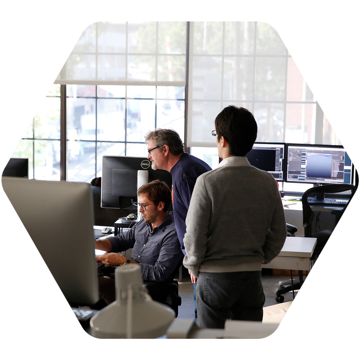 dlsei-professional-certificates