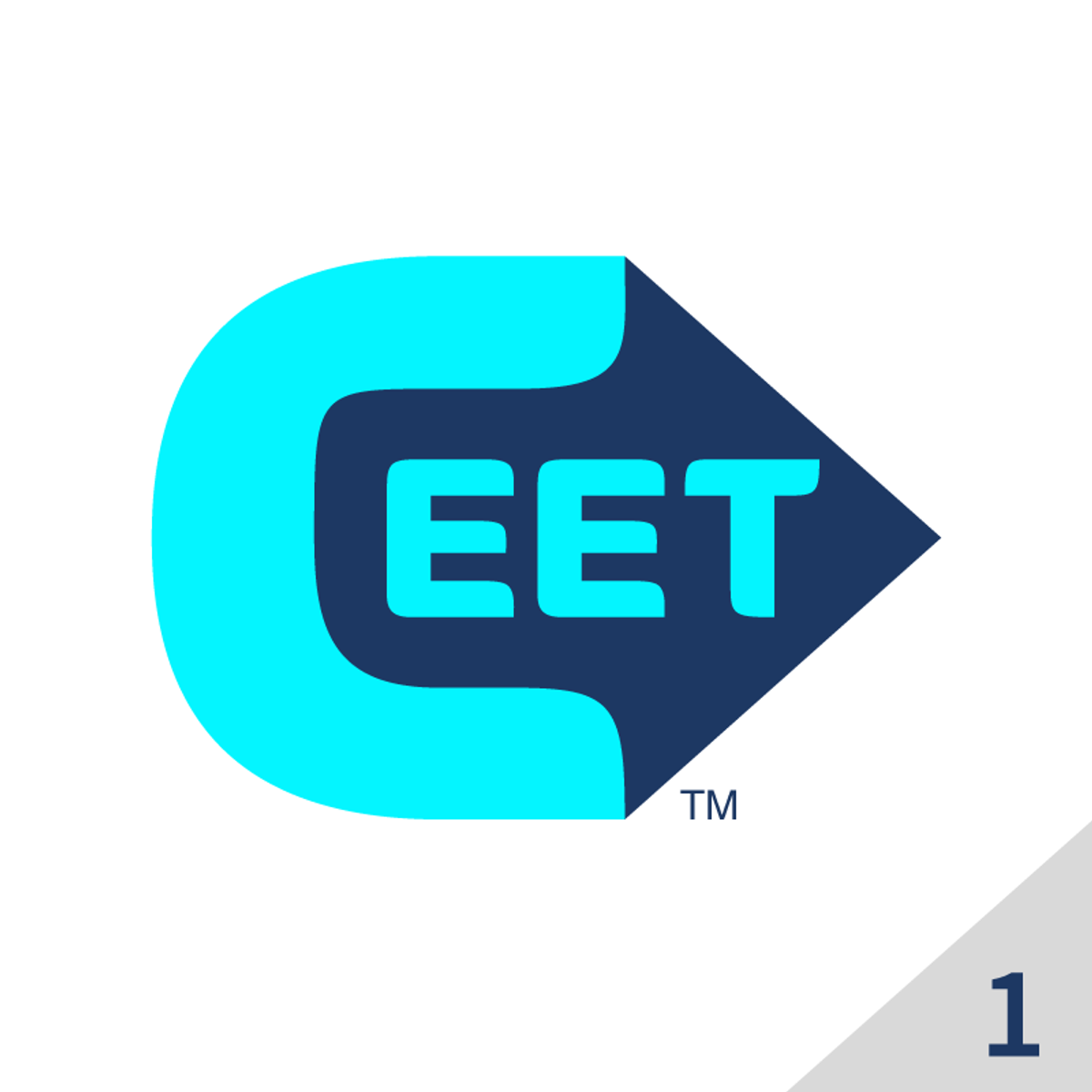 Certified Ethical Emerging Technologist